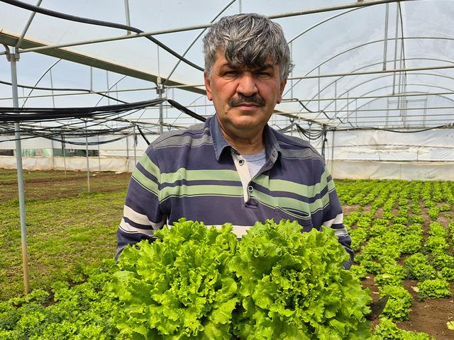 Tarlada 20 TL, tezgahta 100 TL'yi buluyor! Marulda fiyat u&ccedil;urumu