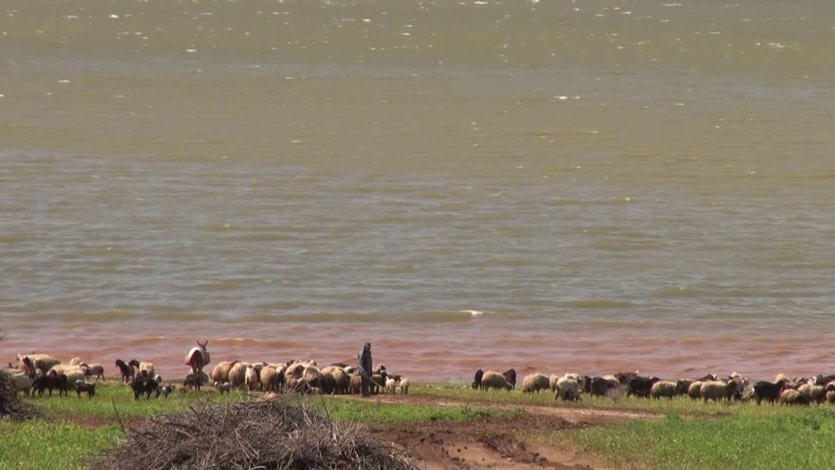 Reyhanlı barajında bir ilk: Doluluk oranı y&uuml;zde 40&rsquo;a ulaştı 3