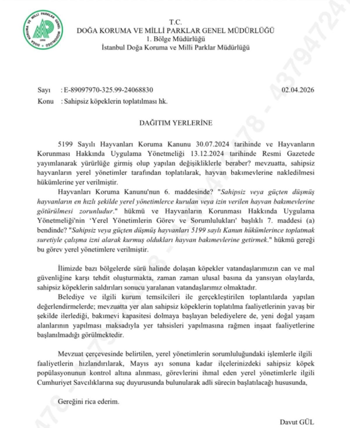 İstanbul daki sokak hayvanları için yeni karar! Valilik Mayıs sonuna kadar süre verdi 1