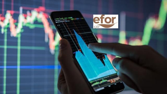 EFOR hissesinden satış yapan aracı kurumlar (30 Mart-3 Nisan 2026)