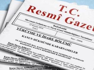 10 şirkete dış ticaret sermaye şirketi stat&uuml;s&uuml; verildi! Karar Resmi Gazete'de