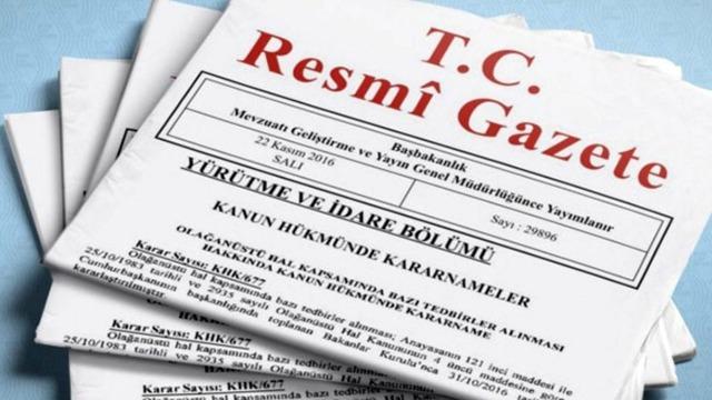 10 şirkete dış ticaret sermaye şirketi stat&uuml;s&uuml; verildi! Karar Resmi Gazete'de