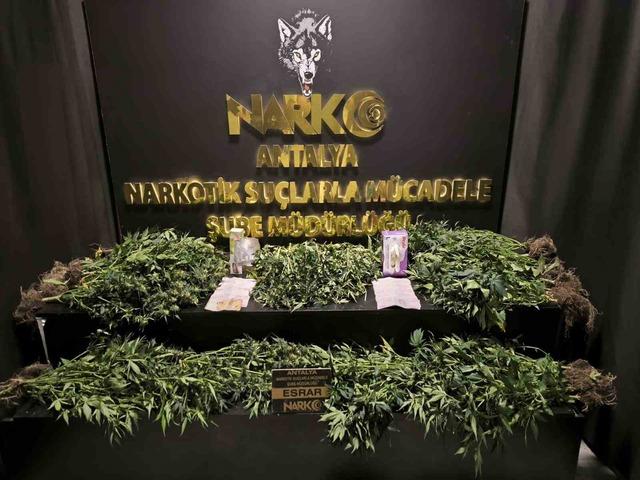 İl emniyet m&uuml;d&uuml;r&uuml;n&uuml;n y&ouml;nettiği operasyonda &ccedil;ok miktarda uyuşturucu madde ele ge&ccedil;irildi 11