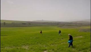 Siirt&rsquo;te &ccedil;ift&ccedil;ilerden zorlu mesai: G&uuml;breleme eski usulle yapıldı