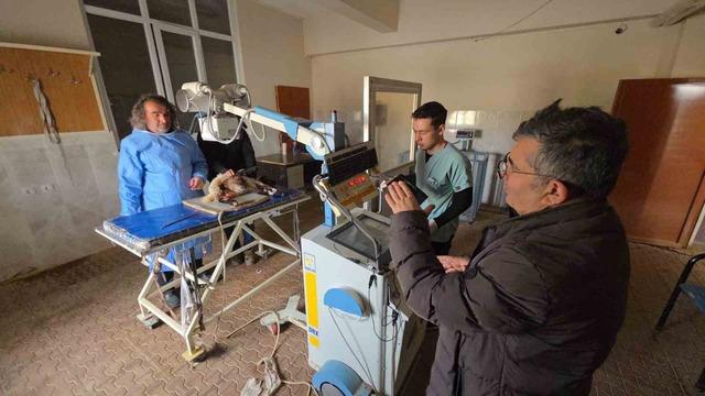 Van&rsquo;da deprem sonrası enkaz altından yaralı &ccedil;ıkarılan kuzular tedavi altına alındı 9