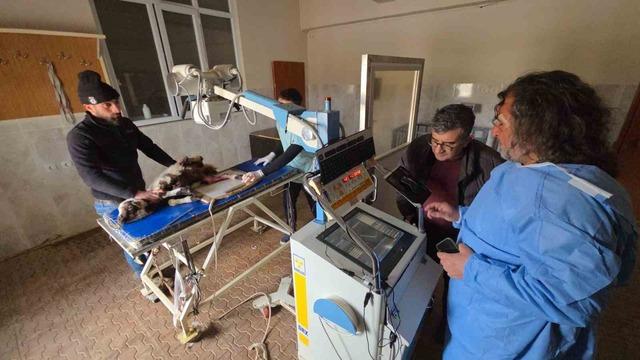 Van&rsquo;da deprem sonrası enkaz altından yaralı &ccedil;ıkarılan kuzular tedavi altına alındı 7