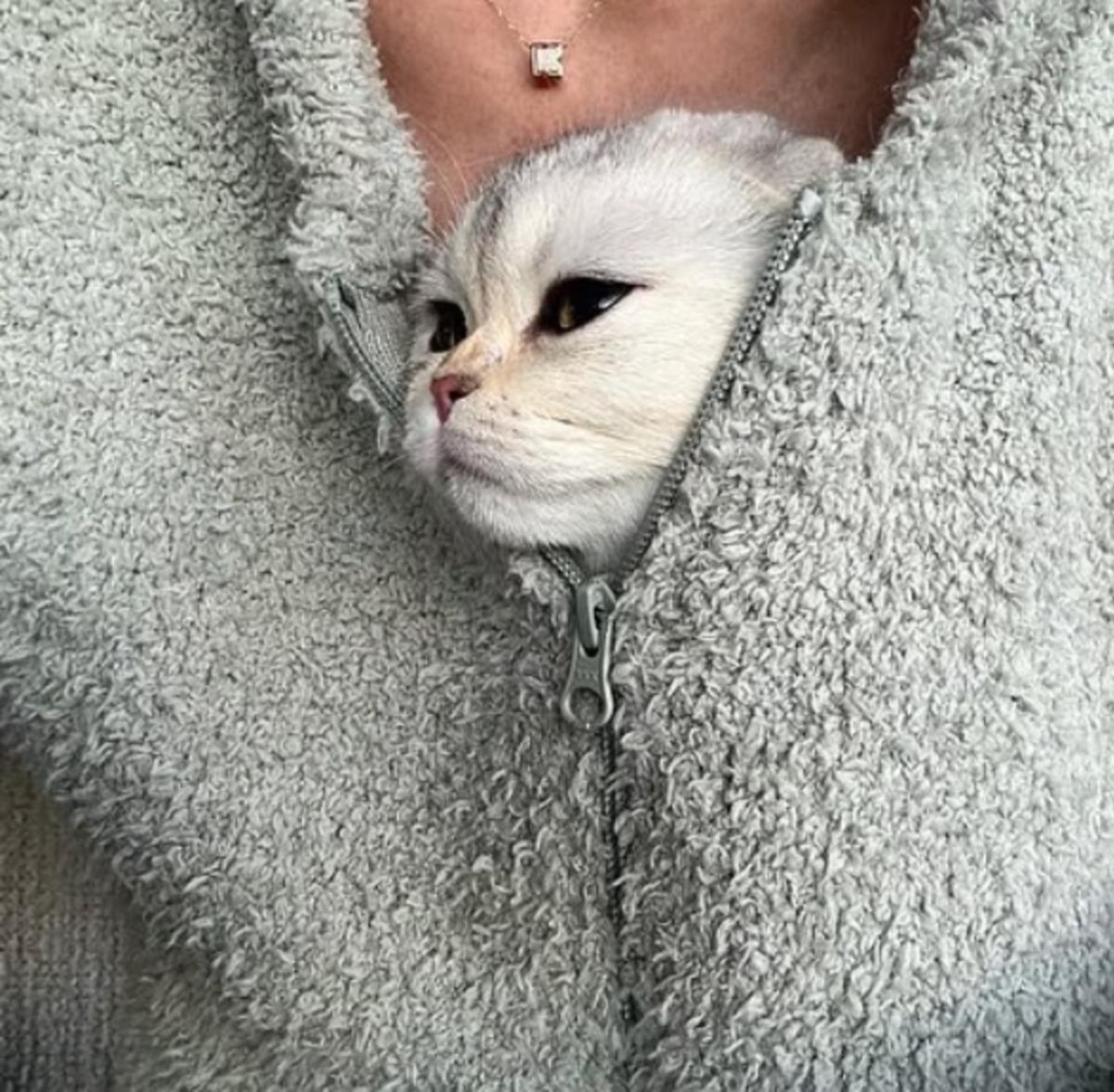 Kylie Jenner kedi paylaşımıyla tepki &ccedil;ekti! &ldquo;Evcil hayvanı aksesuar gibi kullanıyor&rdquo; 4