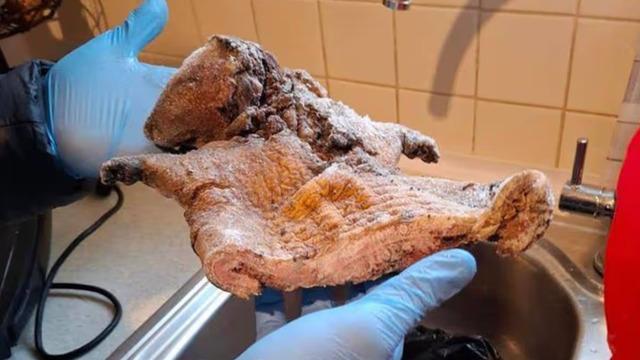 Turist akınına uğrayan şehirde kaçak et skandalı! O hayvanı kullanmışlar