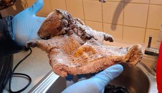 O şehirde ka&ccedil;ak et skandalı! Hayvanların o hali...