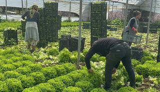 5 TL'ye d&uuml;şm&uuml;şt&uuml;: '5 milyon zarar ettik' Bu yıl sevindirdi 'Hi&ccedil; ummadığımız gibi gitti'