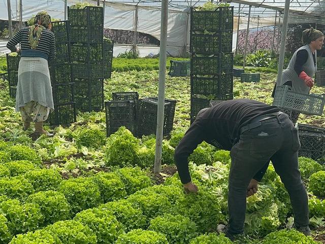 5 TL'ye d&uuml;şm&uuml;şt&uuml;: '5 milyon zarar ettik' Bu yıl sevindirdi 'Hi&ccedil; ummadığımız gibi gitti'