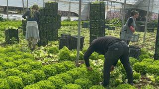 5 TL'ye düşmüştü: '5 milyon zarar ettik' Bu yıl sevindirdi 'Hiç ummadığımız gibi gitti'