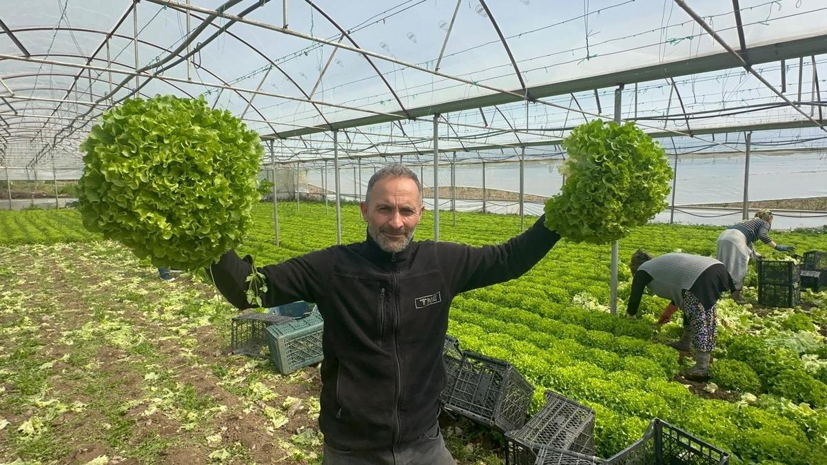 5 TL ye düşmüştü: 5 milyon zarar ettik Bu yıl sevindirdi Hiç ummadığımız gibi gitti 2