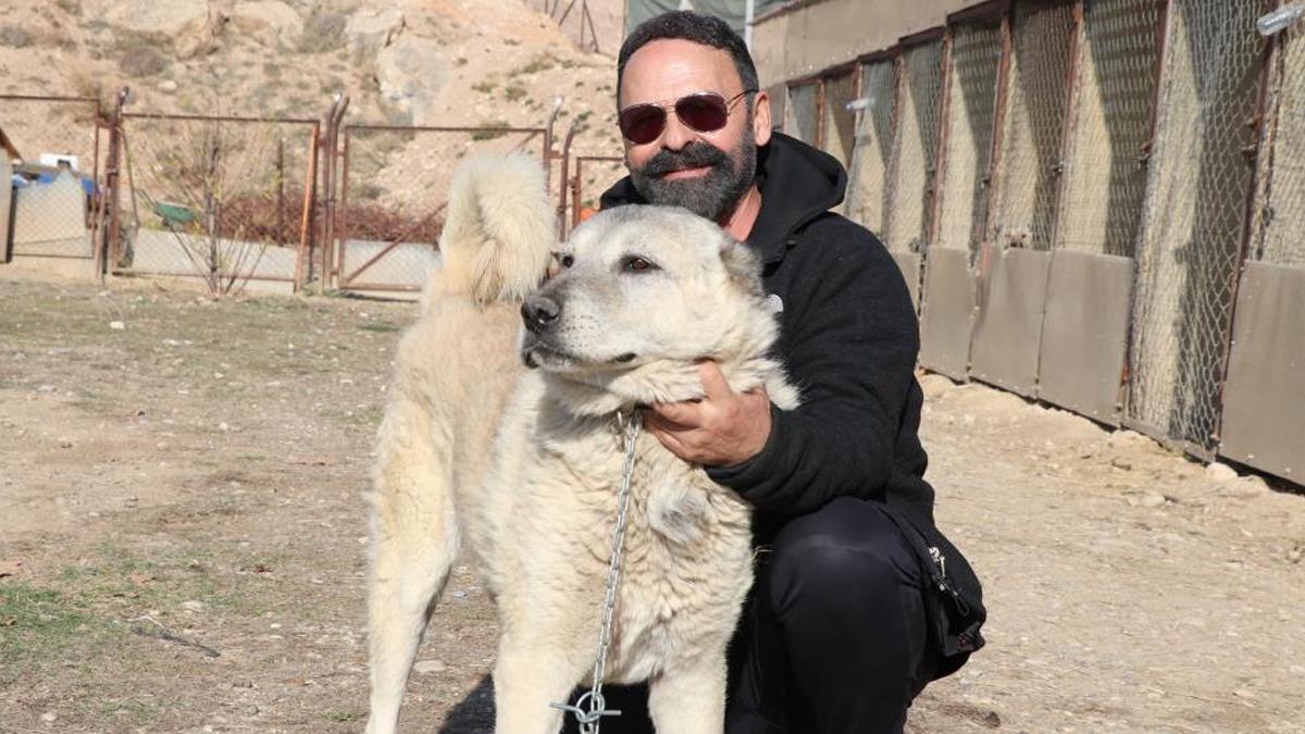 Sivas kangalı ile Sibirya kurdunun görüntüleri gündem olmuştu! Olay yorum: "Bizim erkeklerimiz böyledir" 1