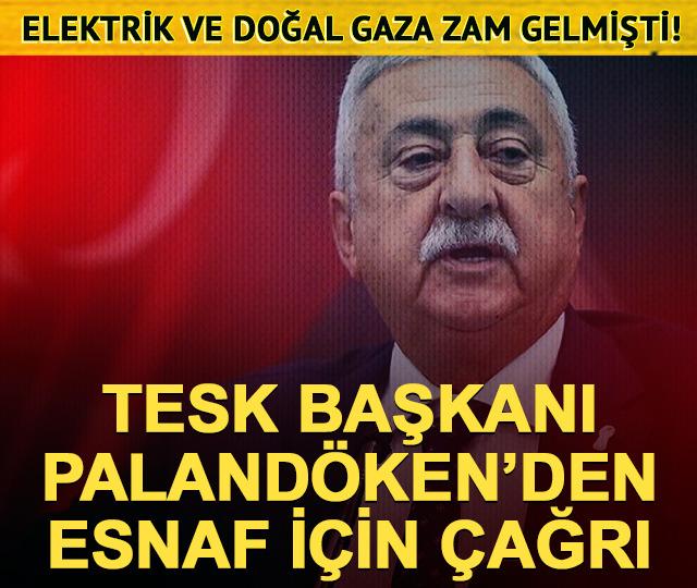 Elektrik ve doğal gaza y&uuml;zde 25 zam! TESK Başkanı'ndan &ccedil;ağrı