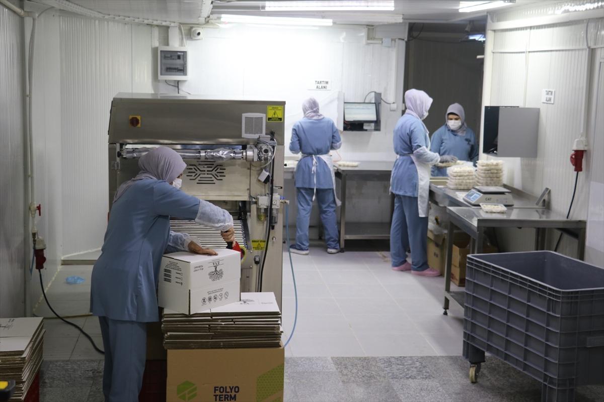 Tatildeyken yedi, şirket kurup &uuml;retimine başladı: 100 &ccedil;alışanı var 5