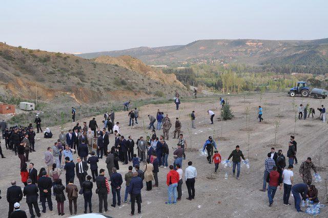 Eskişehir'de, Afrin şehitleri anısına 52 fidan dikildi