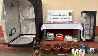 Zonguldak&rsquo;ta jandarmanın uyuşturucu operasyonu