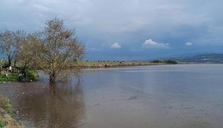 Sarıg&ouml;l Ovası&rsquo;nda su sevinci