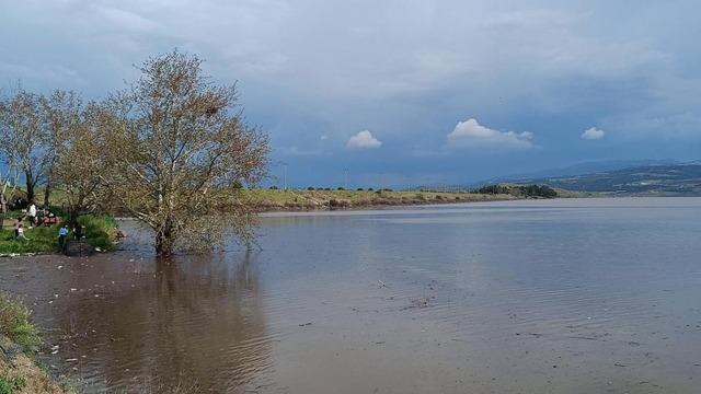 Sarıgöl Ovası’nda su sevinci