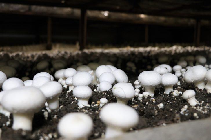 15 bin lira kredi aldı,  milyonlarca liralık kazanca kapı açtı G1