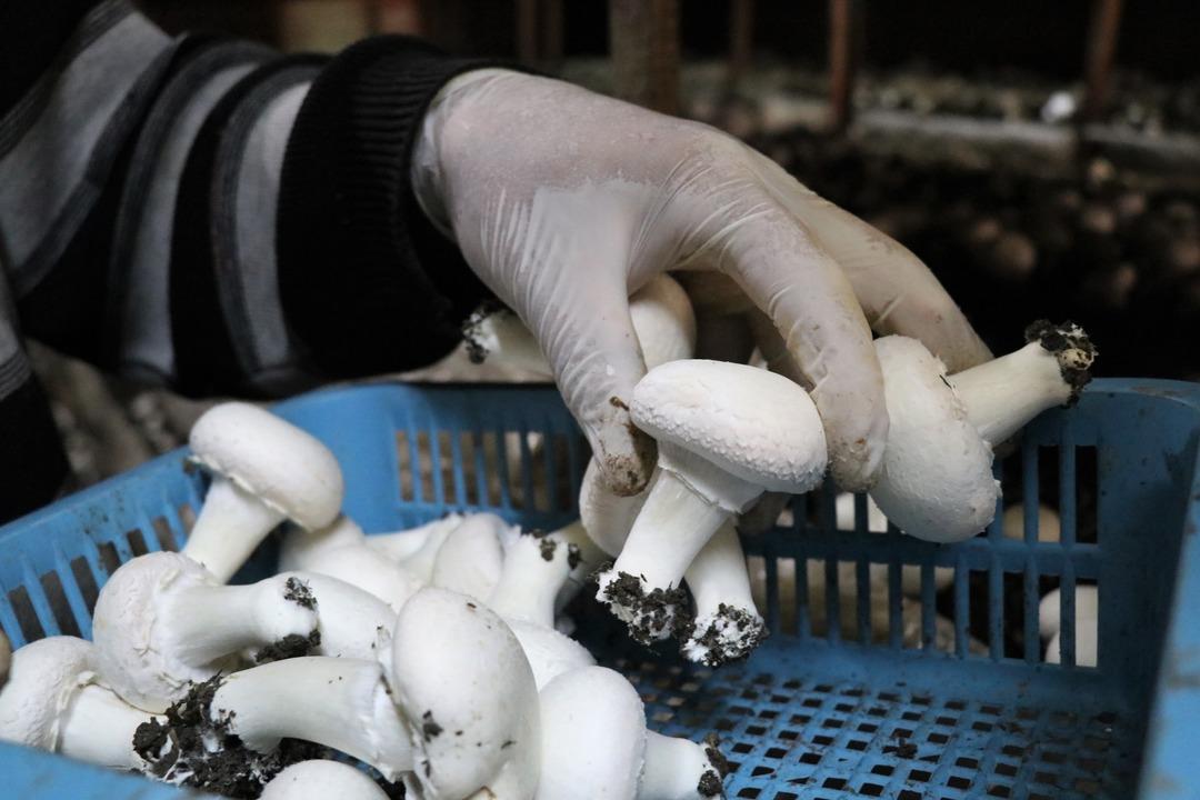 15 bin lira kredi aldı,  milyonlarca liralık kazanca kapı a&ccedil;tı