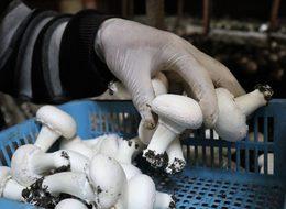 15 bin lira kredi aldı,  milyonlarca liralık kazanca kapı açtı