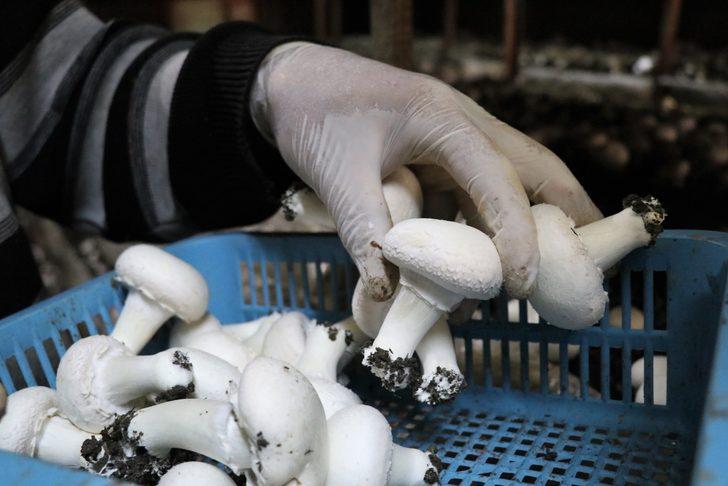 15 bin lira kredi aldı,  milyonlarca liralık kazanca kapı açtı G3