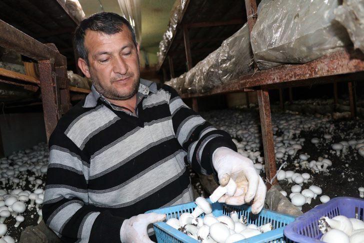 15 bin lira kredi aldı,  milyonlarca liralık kazanca kapı açtı G4