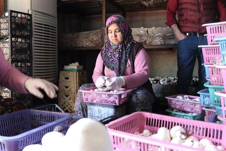 15 bin lira kredi aldı,  milyonlarca liralık kazanca kapı açtı G5