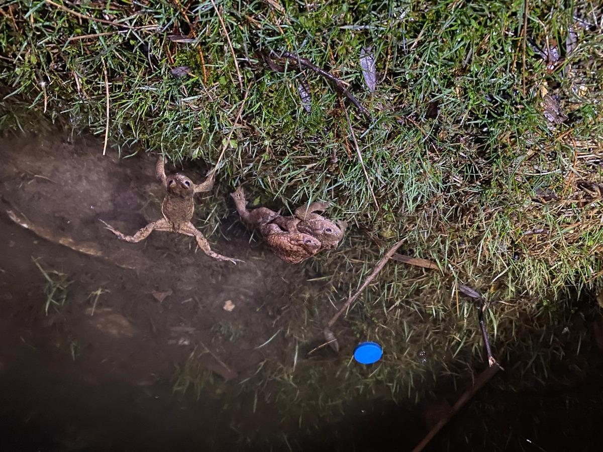 K&uuml;tahya da 5 bin yıllık g&ouml;&ccedil; yeniden başladı! B&uuml;y&uuml;k risk altındalar 2