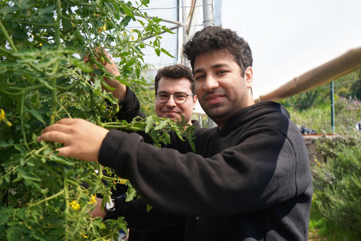 T&uuml;rkiye de bir ilk: Psikiyatri hastaları tedavi g&ouml;r&uuml;rken para kazanıyor 2
