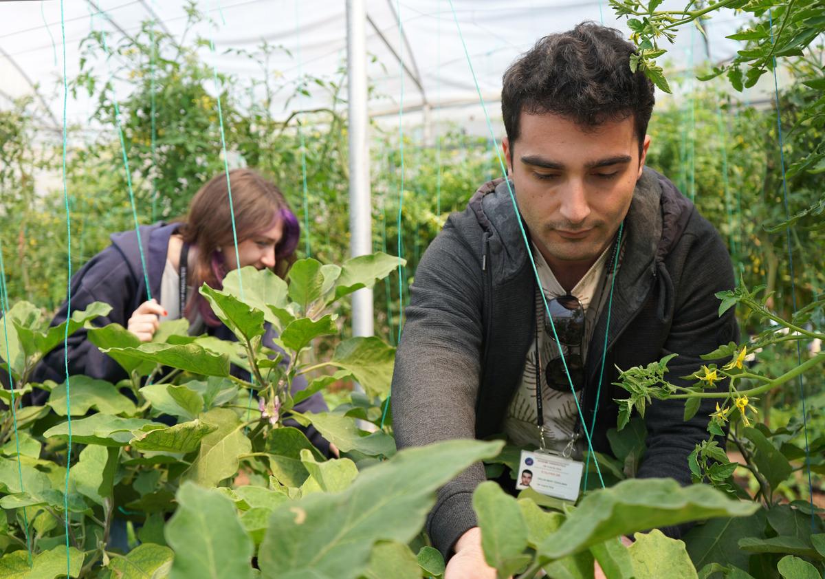 T&uuml;rkiye de bir ilk: Psikiyatri hastaları tedavi g&ouml;r&uuml;rken para kazanıyor 7
