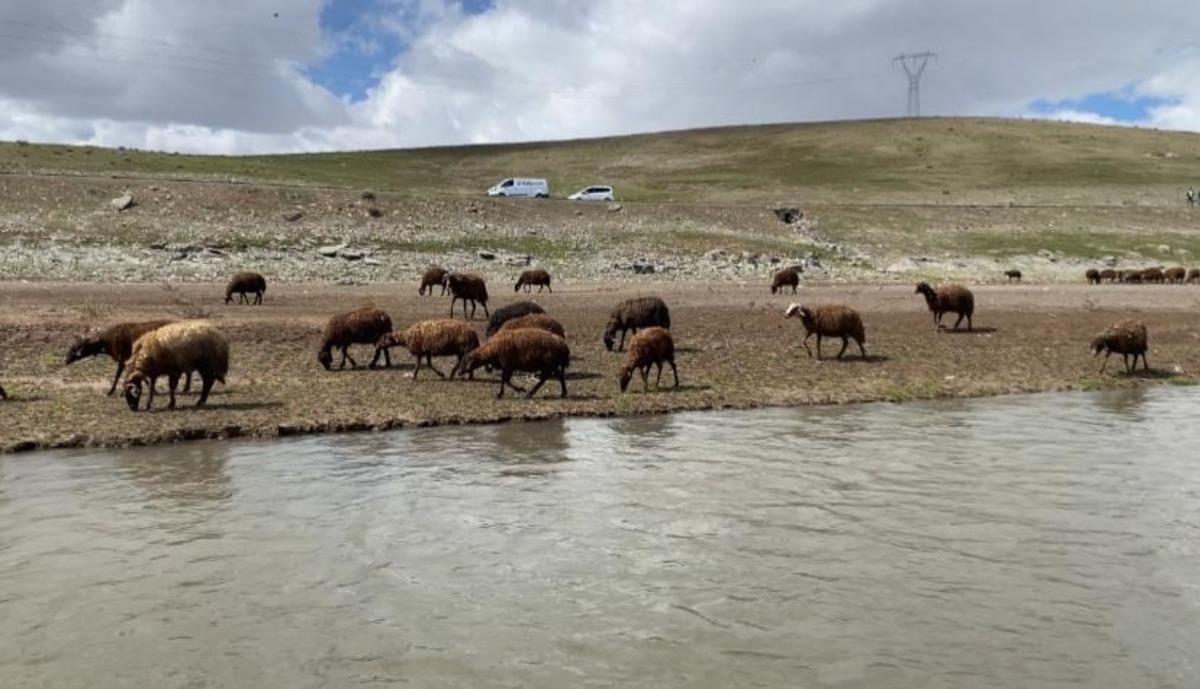 Maaş 120 bin TL ama &ccedil;alışacak kimse yok!  1