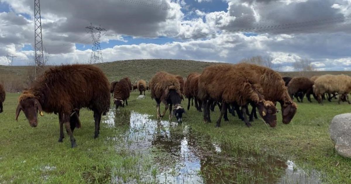 Maaş 120 bin TL ama &ccedil;alışacak kimse yok!  3