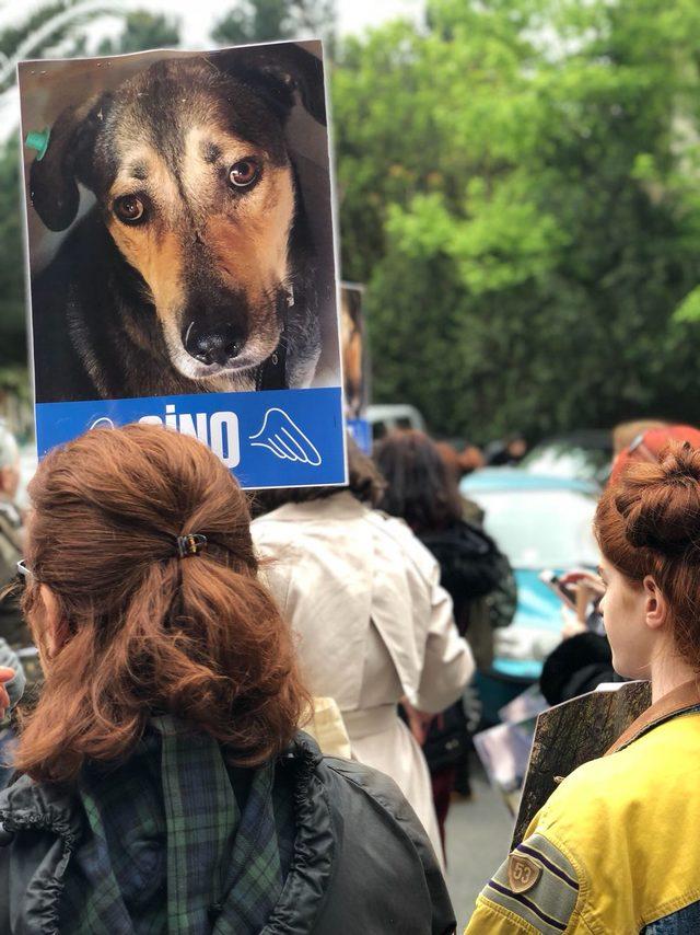 Sarıyer'de hayvanseverlerden protesto
