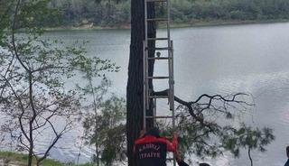 Osmaniye&rsquo;de ağaca takılan kargayı itfaiye kurtardı