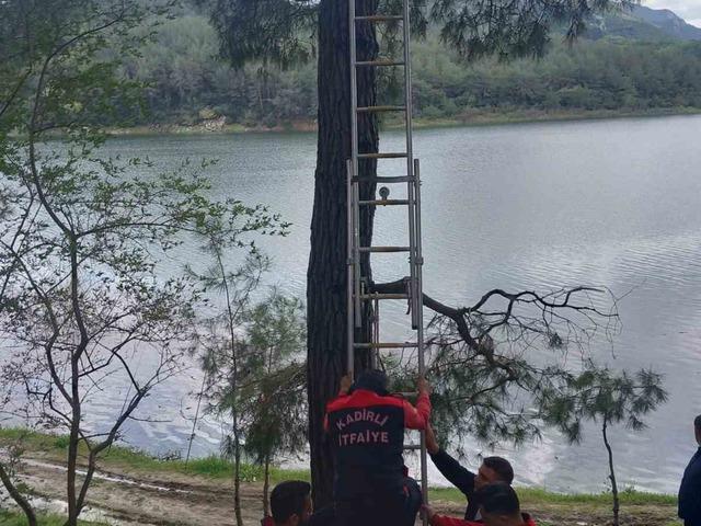 Osmaniye&rsquo;de ağaca takılan kargayı itfaiye kurtardı