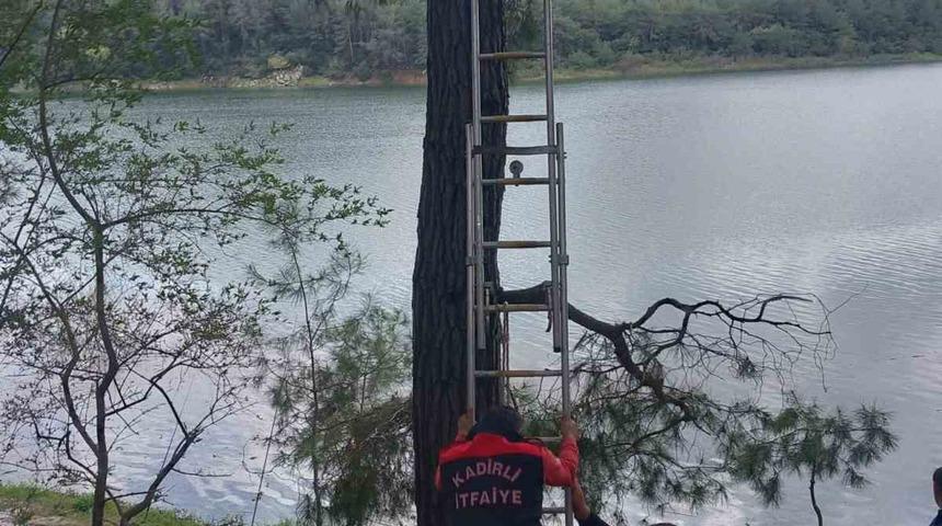 Osmaniye&rsquo;de ağaca takılan kargayı itfaiye kurtardı