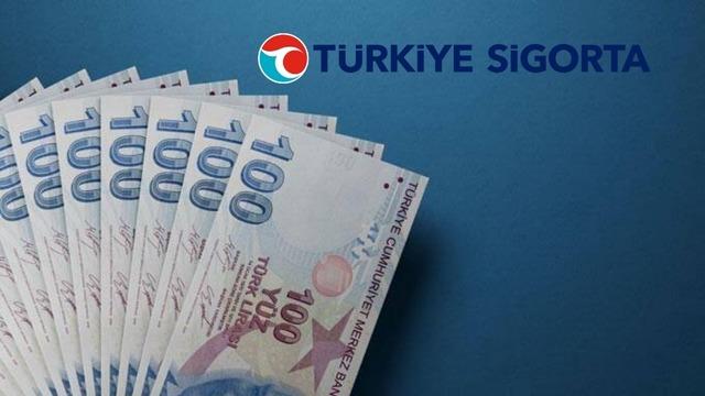 T&uuml;rkiye Sigorta'dan (TURSG) 53,8 milyar TL'lik prim &uuml;retimi