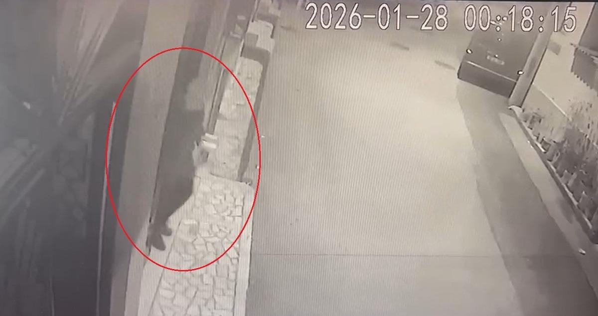 Kocasını &ouml;ld&uuml;r&uuml;p satırla 15 par&ccedil;aya ayırdı! Kurtulmak i&ccedil;in karakola gidip  kayıp  dedi 7