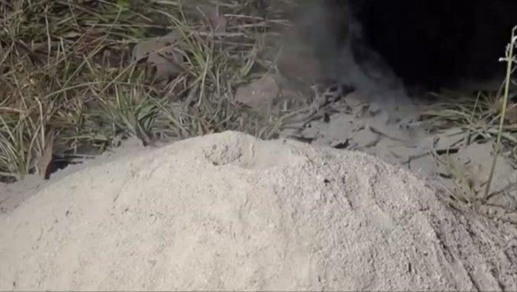 Karınca yuvasına alüminyum döktü  G3