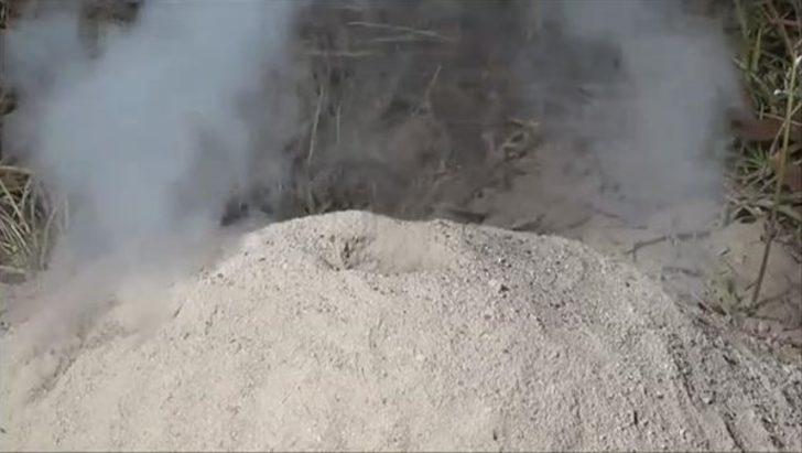 Karınca yuvasına alüminyum döktü  G4