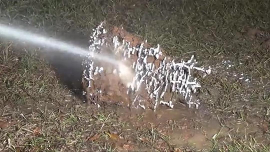 Karınca yuvasına al&uuml;minyum d&ouml;kt&uuml; 