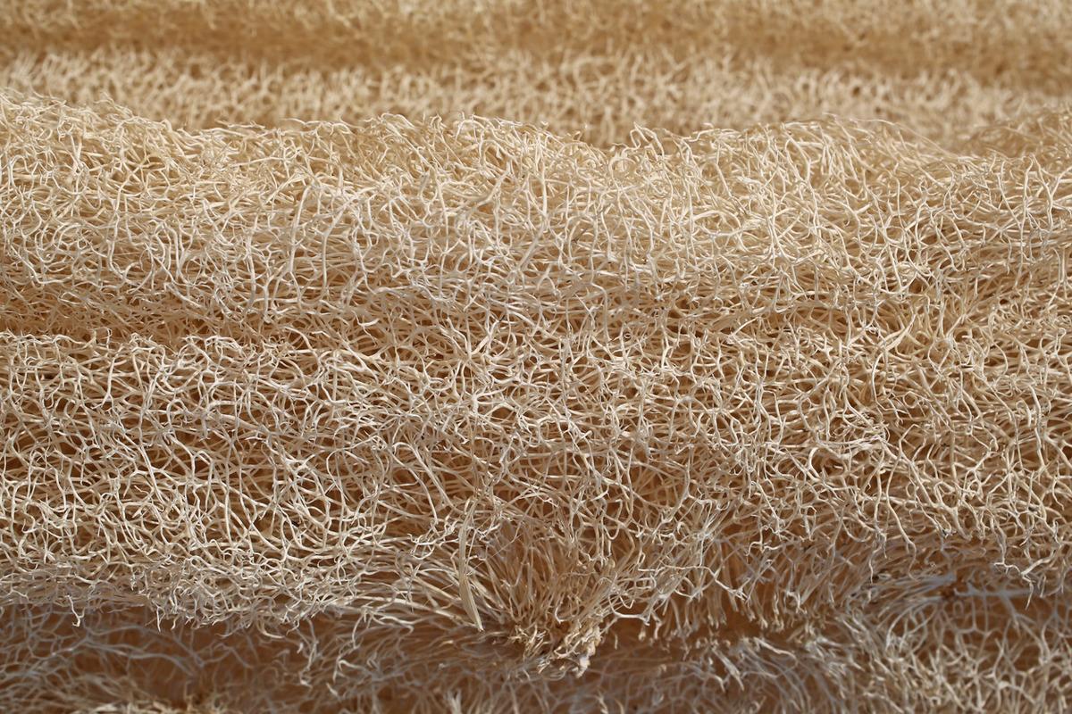 Duşta bu lifle yıkananlar dikkat! Meğer bakteri yuvasıymış 3