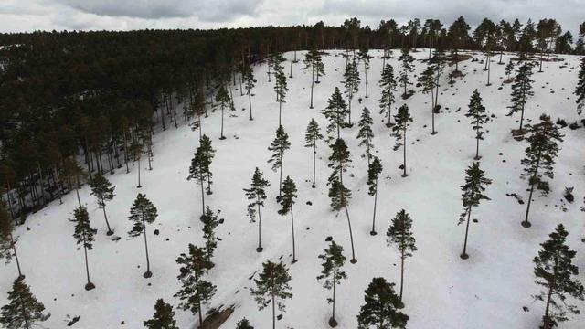 Yozgat&rsquo;ın y&uuml;kseklerinde kış ve bahar bir arada yaşanıyor 2