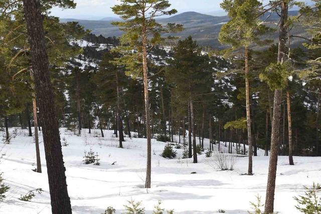Yozgat&rsquo;ın y&uuml;kseklerinde kış ve bahar bir arada yaşanıyor 1