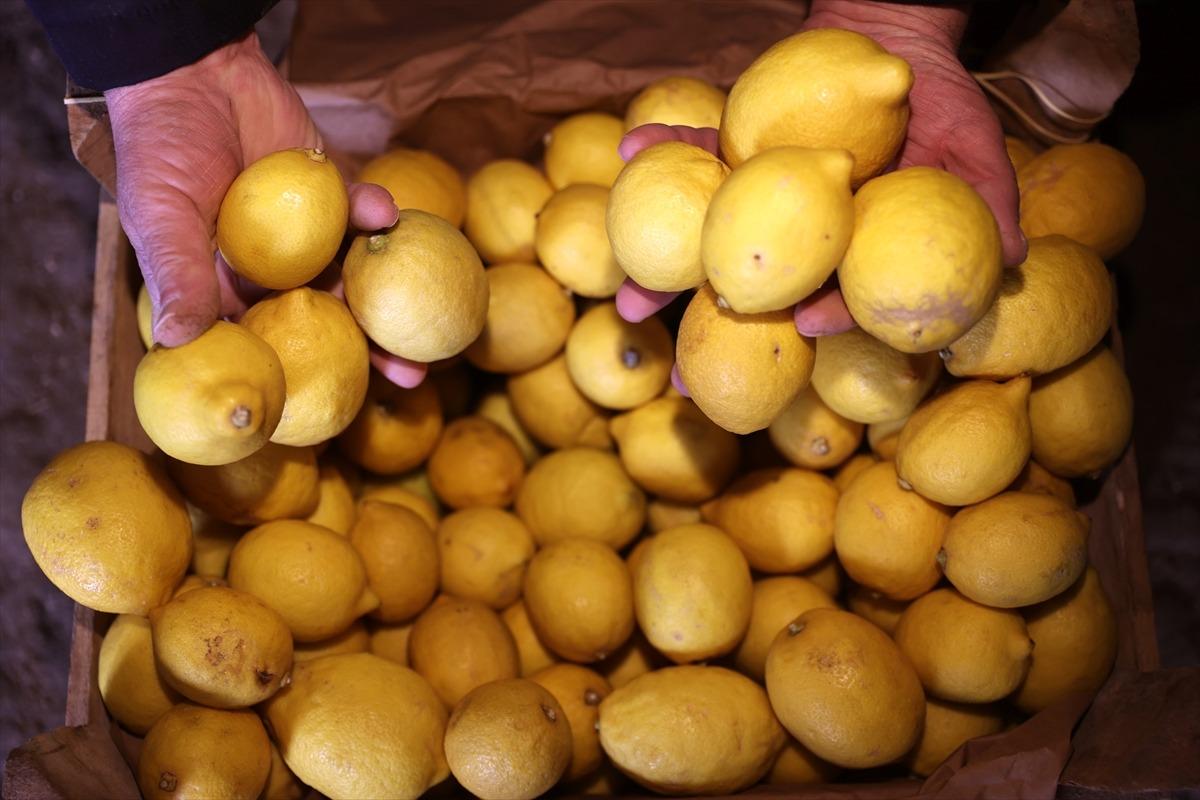 Mağaralar depo olarak kullanılıyor:  3047 n&uuml;fuslu beldede &ouml;nemli gelir kaynağı  3