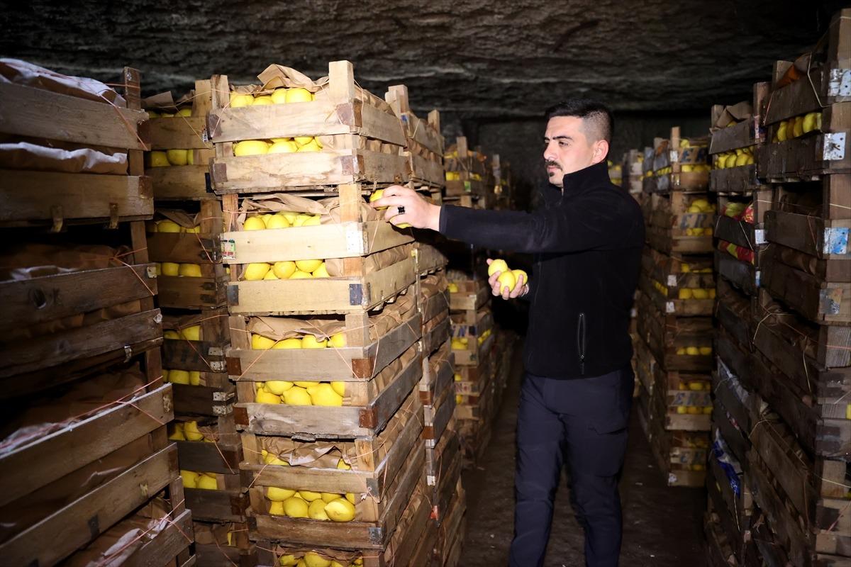 Mağaralar depo olarak kullanılıyor:  3047 n&uuml;fuslu beldede &ouml;nemli gelir kaynağı  7