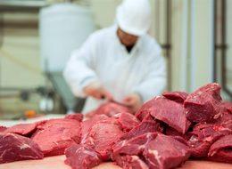 Fakıbaba: Kırmızı ette gerekli önlemleri alacağız